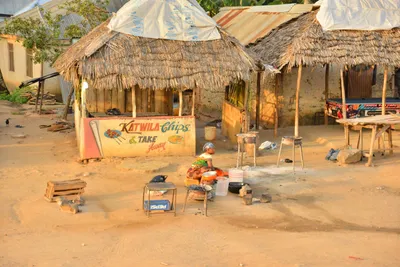 DSC_4311 (Large).JPG